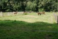 /album/freedom-ranch/foto-stall-04-jpg/
